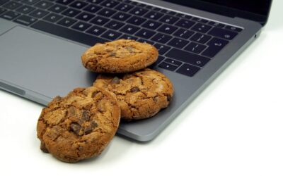 Cookies — tasty treat or nefarious data gatherers?